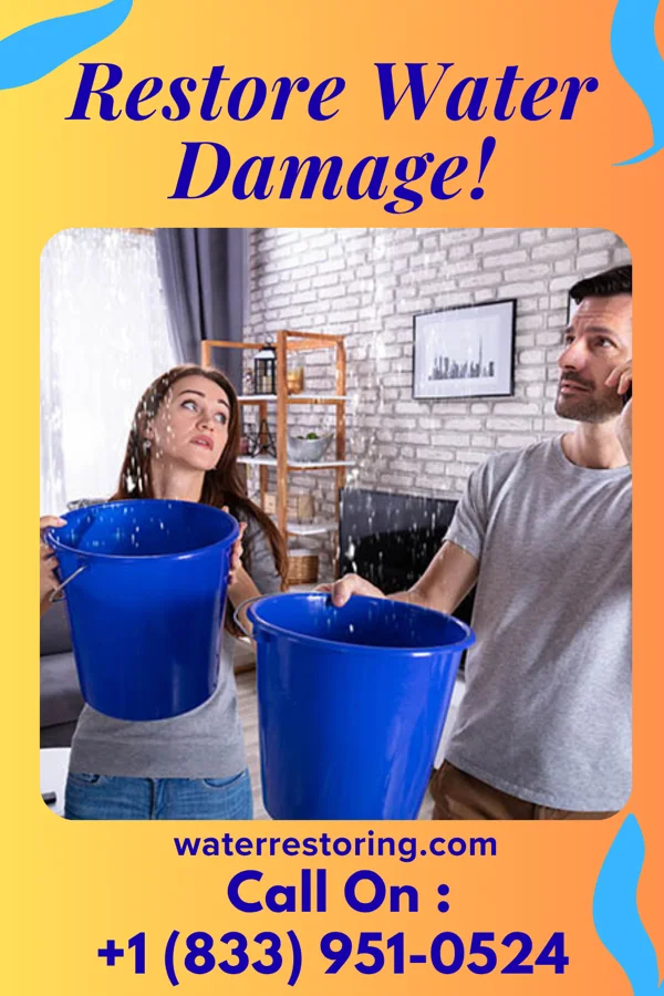 water restoration Vanguard Water Solutions Experts Westland
